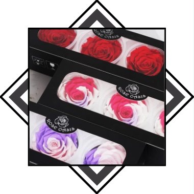 rose eternelle box