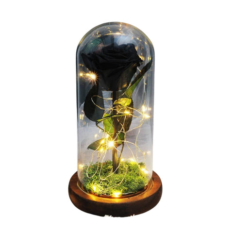 Rose Eternelle Sous Cloche Lumineuse Noir - Rose Eternelle La Boutique