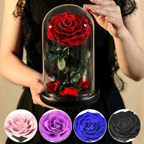 La Rose Éternelle "Prestige" - Rose Eternelle La Boutique