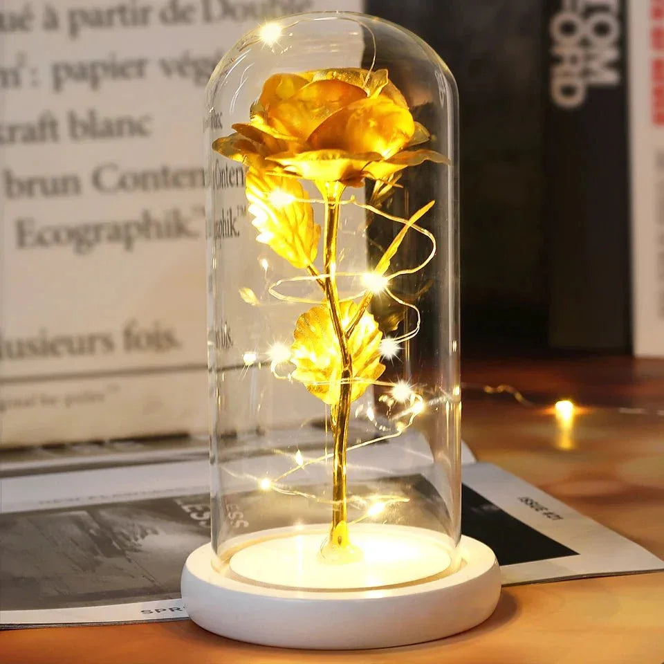 Rose Eternelle Sous Cloche & LED (Choix De Couleurs) - Rose Eternelle La Boutique