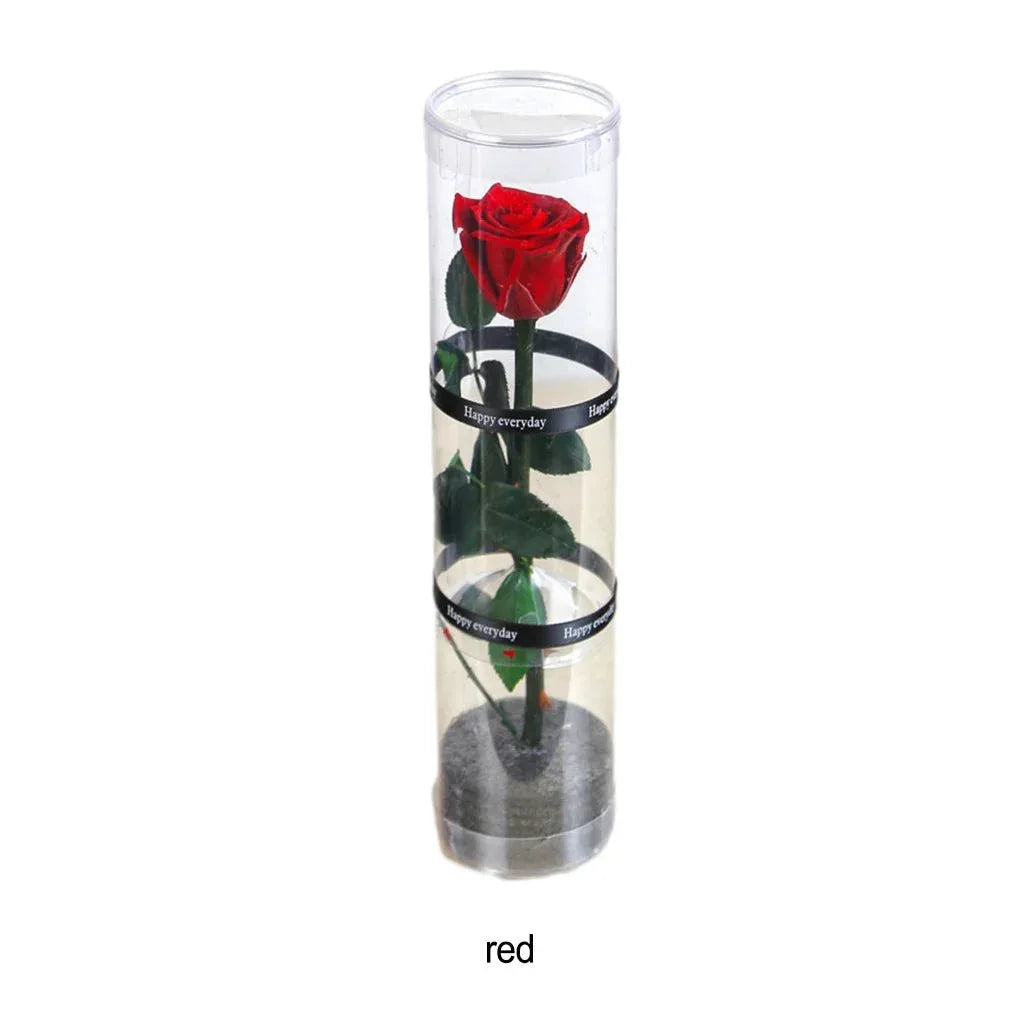 Rose Naturelle Unique sur Longue Tige - Rose Eternelle La Boutique