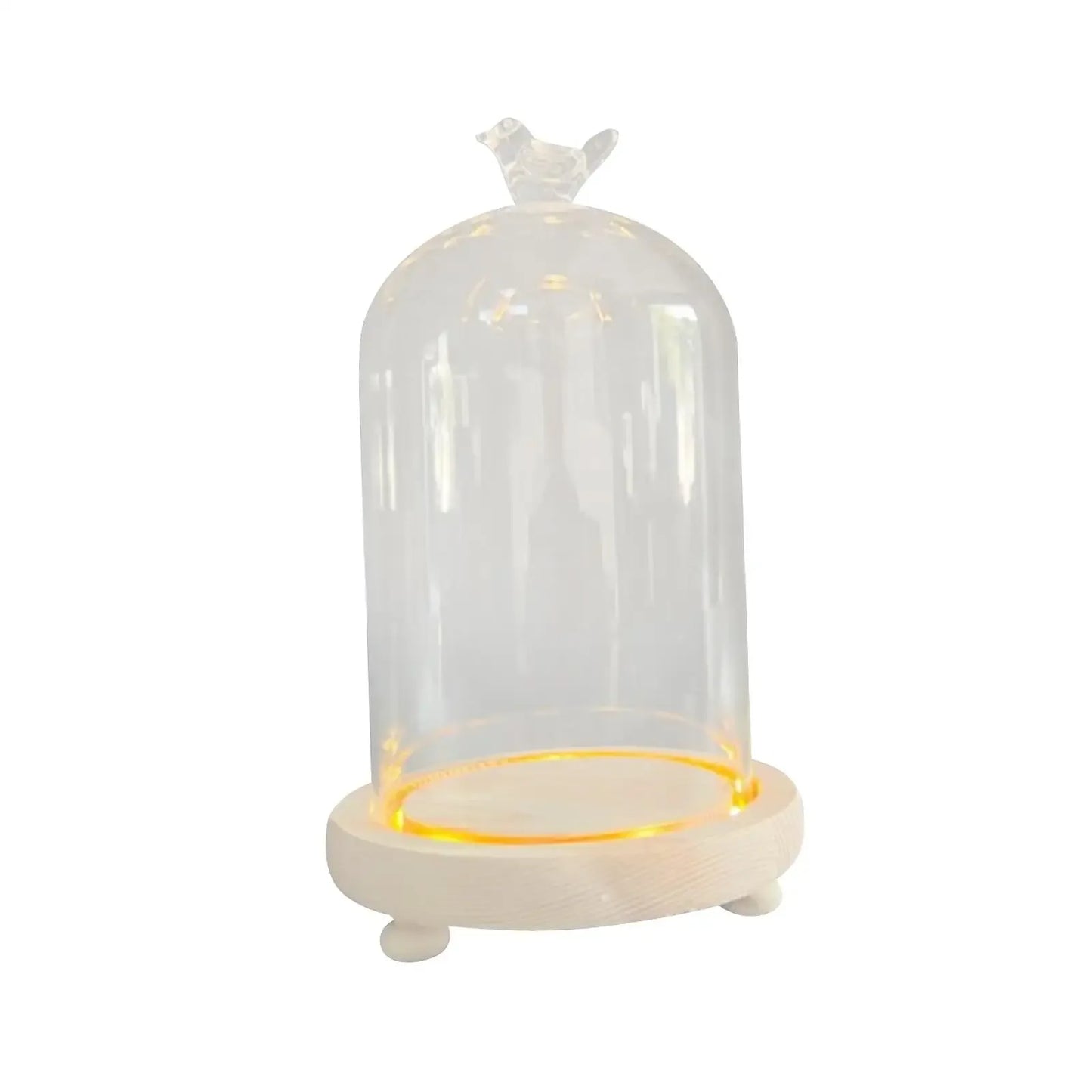Cloche en Verre Élégante avec Base en Bois - Rose Eternelle La Boutique