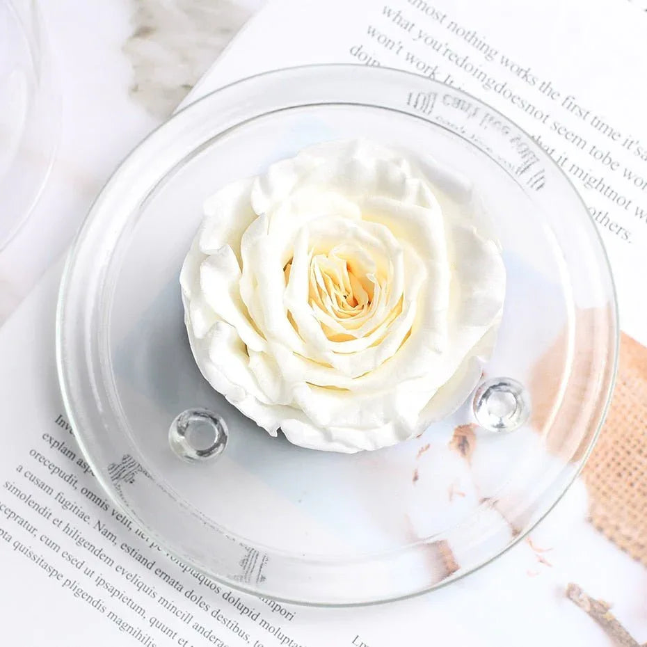 Rose Eternelle Sous Dôme Blanche - Rose Eternelle La Boutique