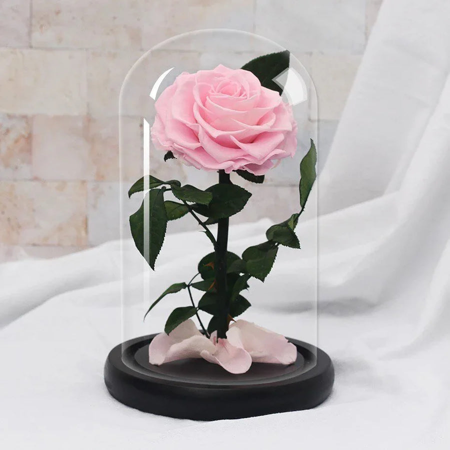 Rose Eternelle Suprême ( Choix de couleur ) - Rose Eternelle La Boutique