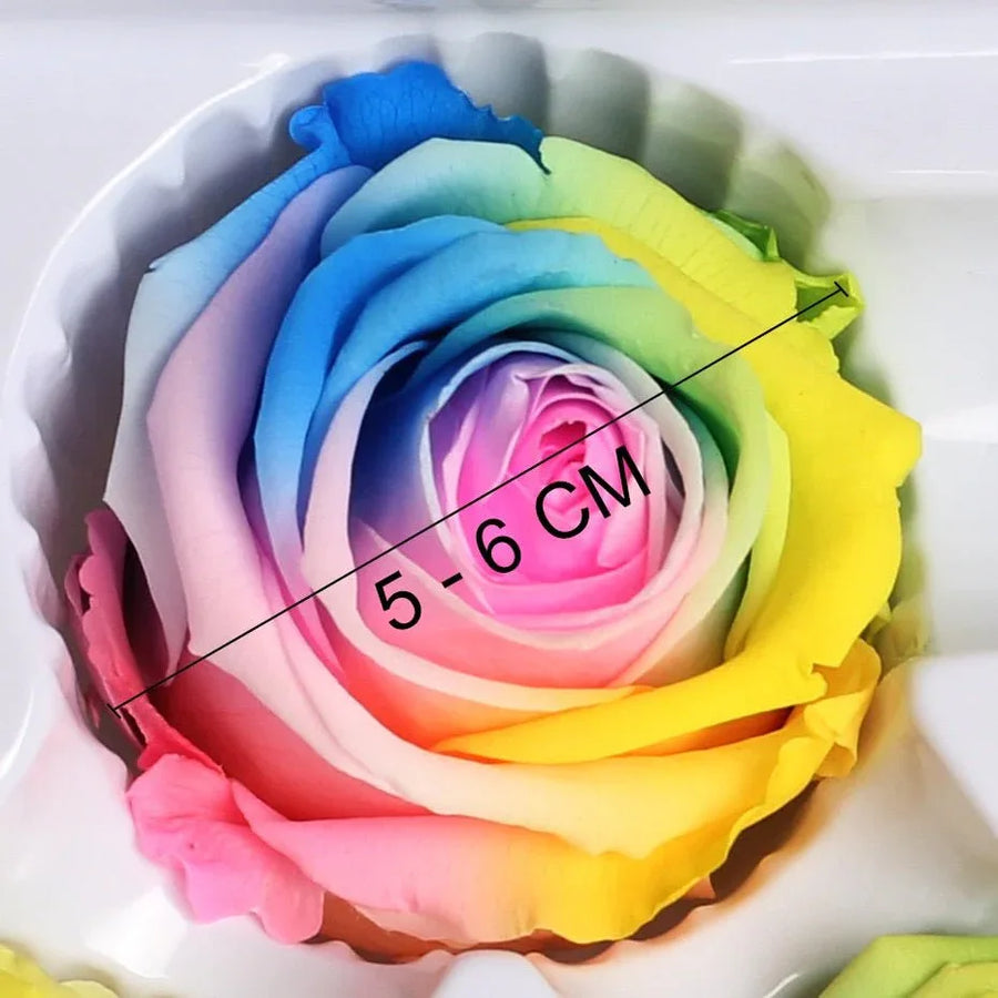 Roses Eternelles Boite Multicolores (Pack de 6) - Rose Eternelle La Boutique