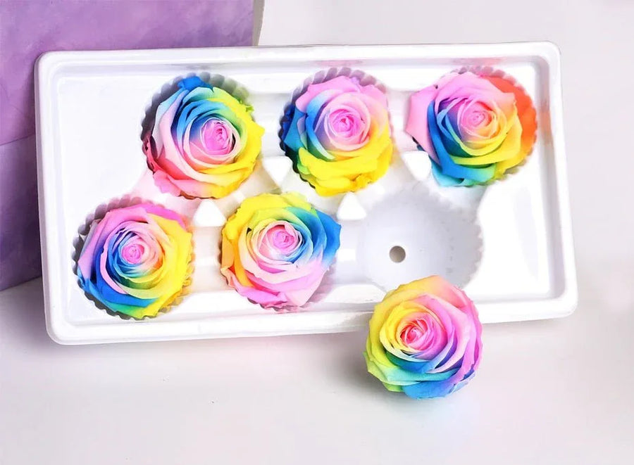 Roses Eternelles Boite Multicolores (Pack de 6) - Rose Eternelle La Boutique