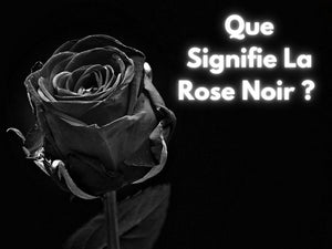 Signification de La rose Noir | Rose Eternelle La Boutique