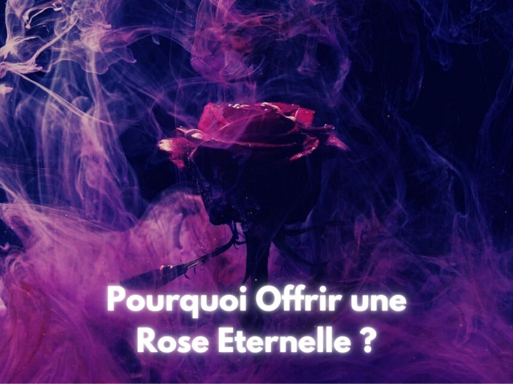 Pourquoi offrir une Rose Eternelle?