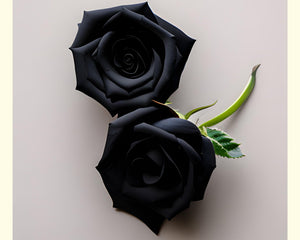 Les roses noires dans différentes cultures et religions