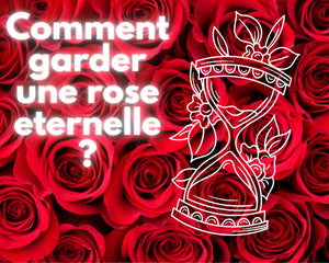 Comment garder une rose eternelle ?