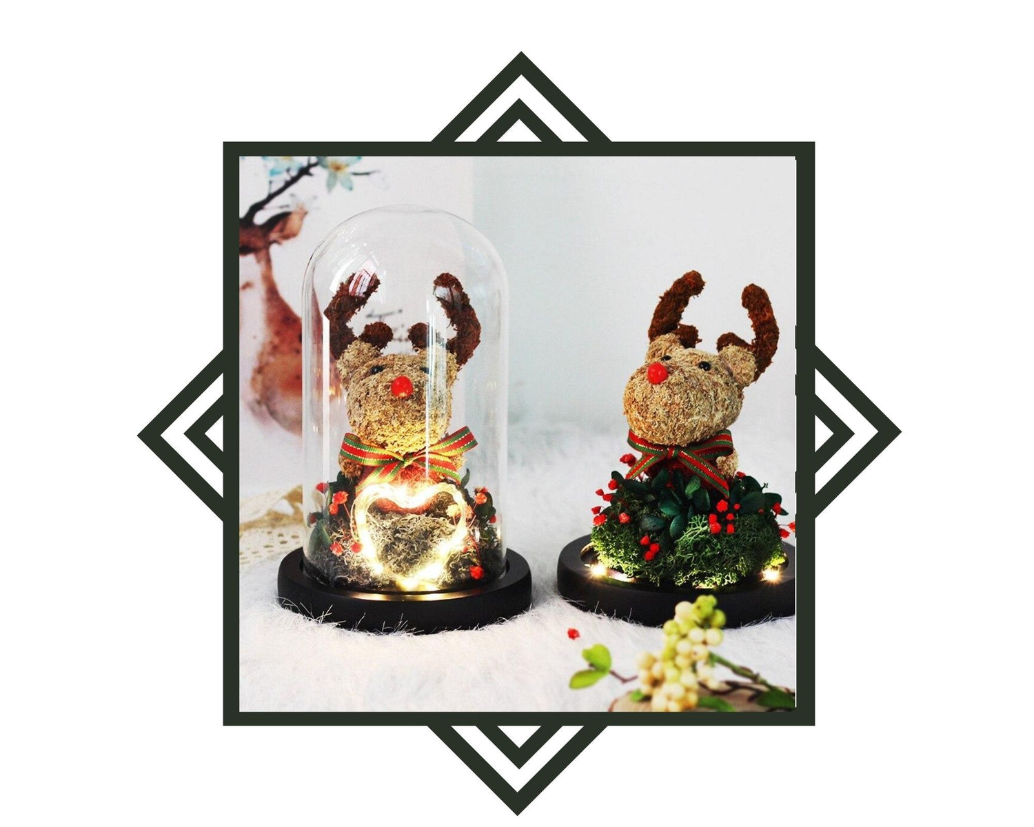 Sélection pour Noel