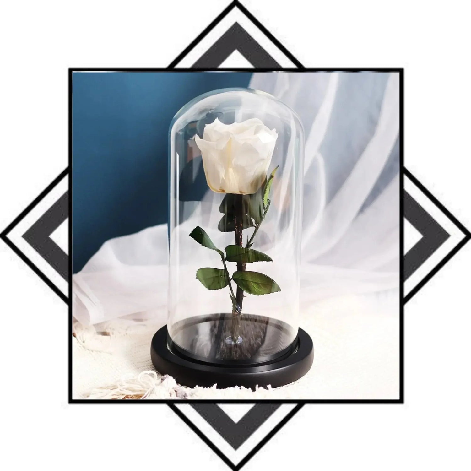 Rose Eternelle Blanche - Rose Eternelle La Boutique