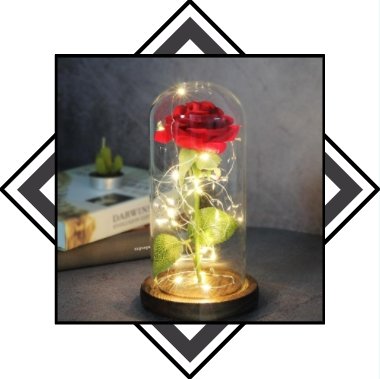 Rose éternelle sous cloche