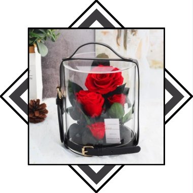 rose eternelle naturelle