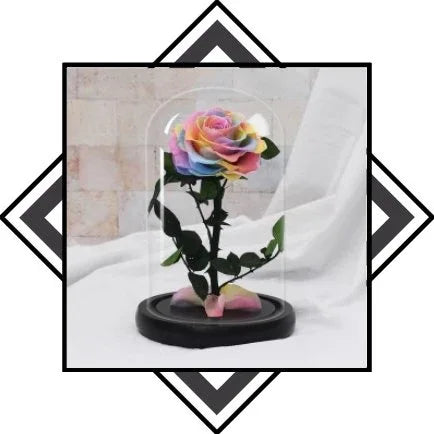 Rose eternelle Multicolore | Fleur & Rose de Qualités – Rose Eternelle ...
