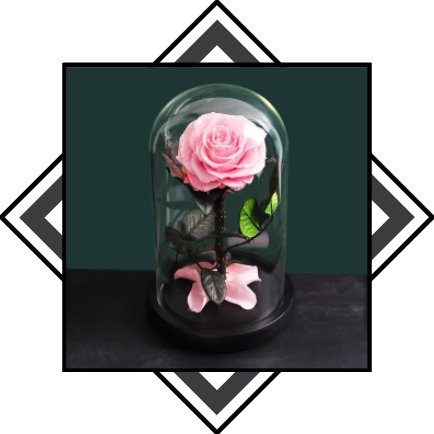 Rose Eternelle de couleur Rose