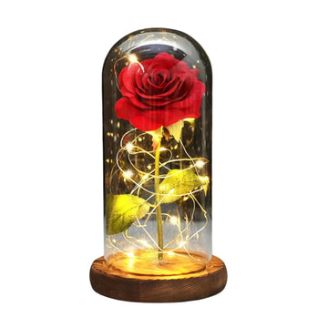 Rose Eternelle Sous Cloche & LED (Choix De Couleurs) - Rose Eternelle La Boutique