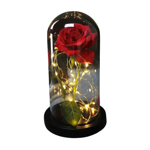 Rose Eternelle Sous Cloche & LED Rouge - Rose Eternelle La Boutique