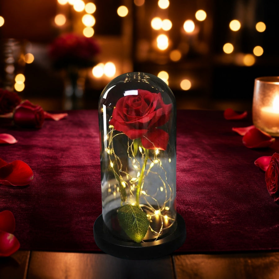 Rose Eternelle Sous Cloche & LED Rouge