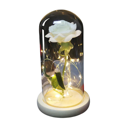 Rose Eternelle Sous Cloche & LED Blanche - Rose Eternelle La Boutique