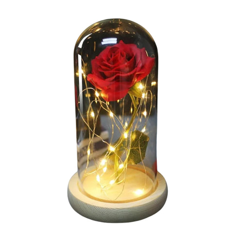 Rose Enchantée Lumineuse sous Cloche - Rose Eternelle La Boutique