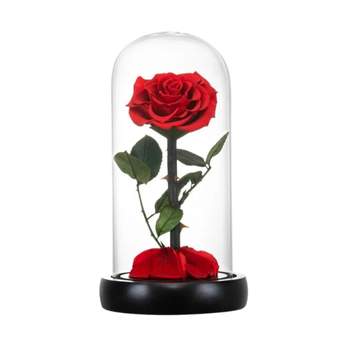 La Rose Éternelle Prestige - Rose Eternelle La Boutique