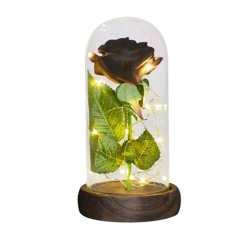 Rose Eternelle Lumineuse & Sous Cloche ( Choix de style ) - Rose Eternelle La Boutique