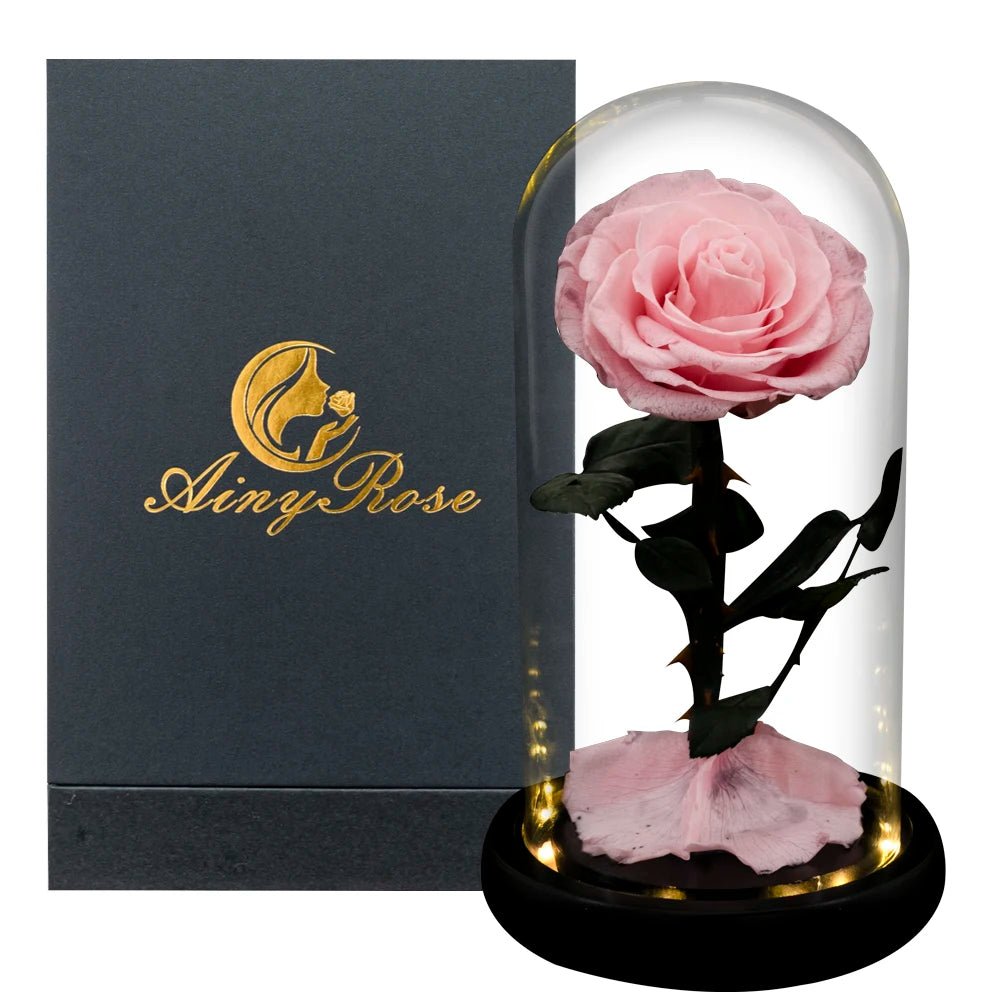 La Rose Éternelle "Prestige"