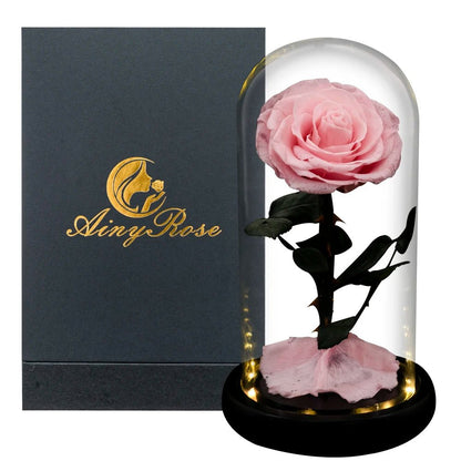 La Rose Éternelle "Prestige"