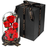 Rose Éternelle de Luxe - Grand Modèle XXL