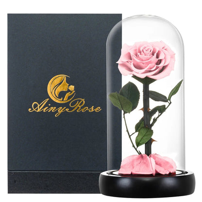 La Rose Éternelle "Prestige"