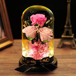 Rose Éternelle de Luxe - Grand Modèle XXL