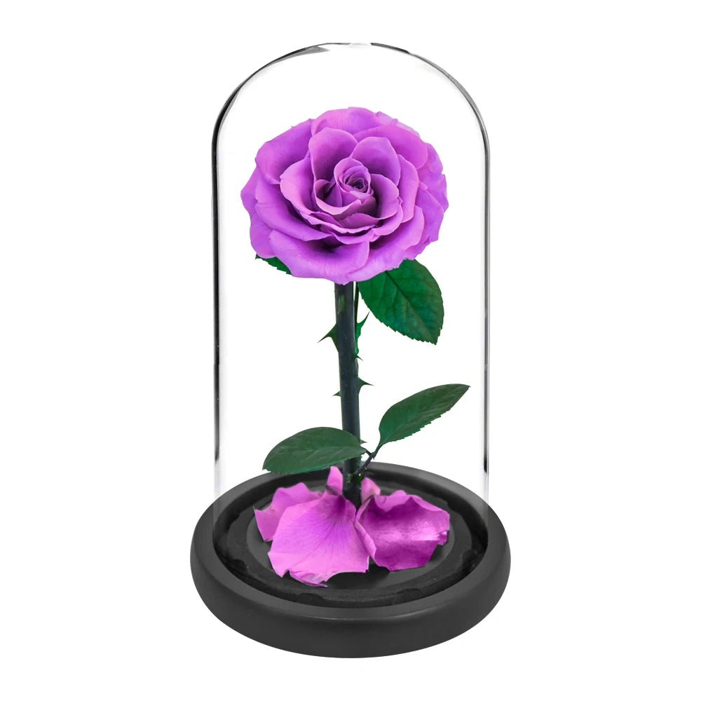 La Rose Éternelle "Prestige"