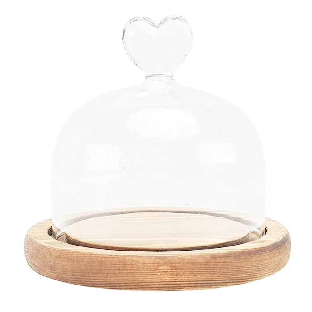 Dôme en Verre avec Base en Bois - Rose Eternelle La Boutique