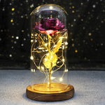 Rose Enchantée Lumineuse sous Cloche