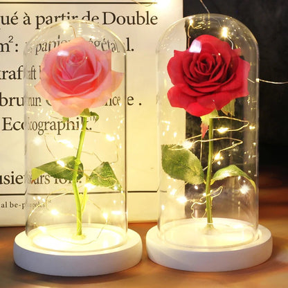 Ewige Rose unter Glaskuppel & LED (Farbauswahl)