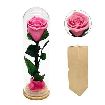 Floral Arrangement "Celebration" - Eternal Roses