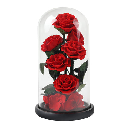 Composition de 6 Roses Éternelles sous Dôme