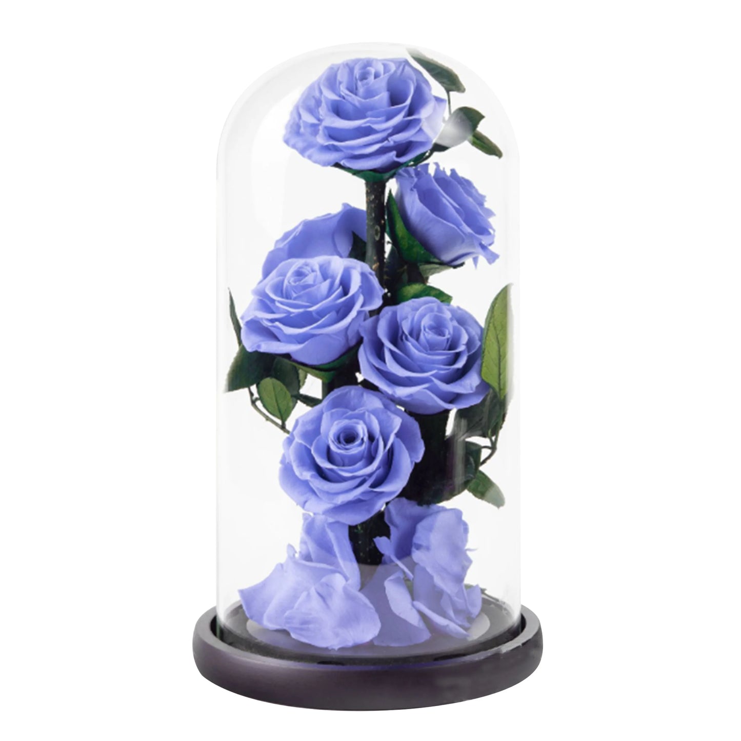 Composition de 6 Roses Éternelles sous Dôme