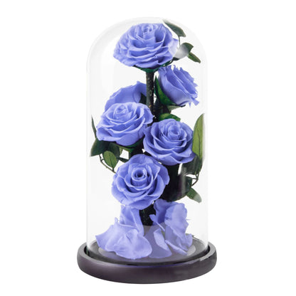 Composition de 6 Roses Éternelles sous Dôme