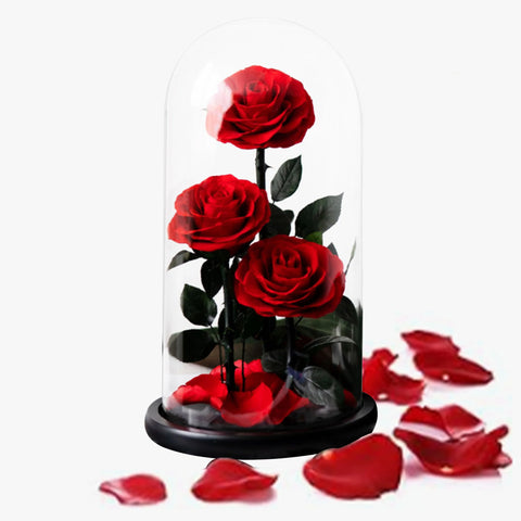 Trio de Roses Éternelles "Amour Infini"