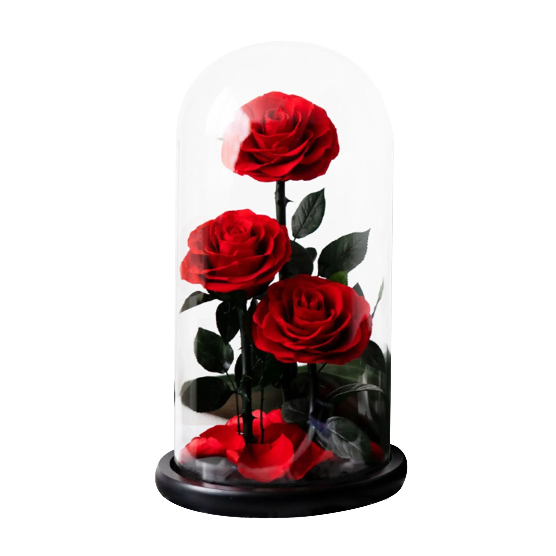 Trio de Roses Éternelles "Amour Infini" - Rose Eternelle La Boutique