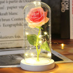 Rose Enchantée Lumineuse sous Cloche