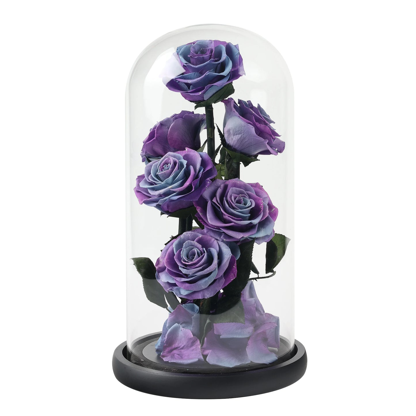 Composition de 6 Roses Éternelles sous Dôme
