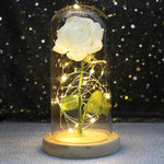 Rose Enchantée Lumineuse sous Cloche