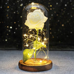 Rose Enchantée Lumineuse sous Cloche