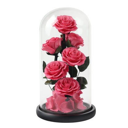Composition de 6 Roses Éternelles sous Dôme