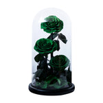 Trio de Roses Éternelles "Amour Infini"