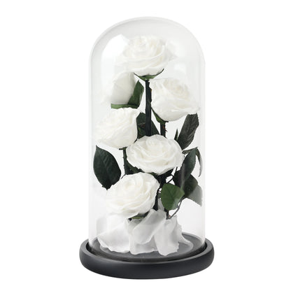 Composition de 6 Roses Éternelles sous Dôme