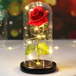 Rose Enchantée Lumineuse sous Cloche